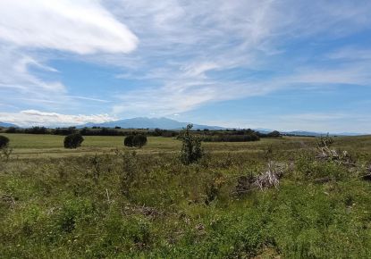 vente Terrain constructible Saint Jean Lasseille