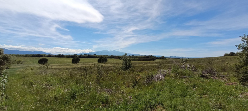 à vendre Terrain constructible Saint Jean Lasseille - Photo 5