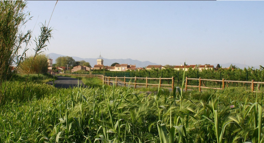 à vendre Terrain en lotissement Theza - Photo 9