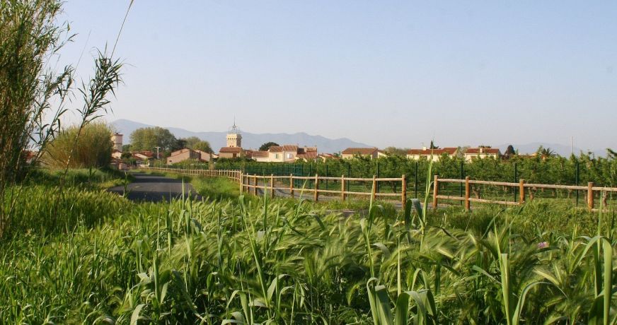 vente Terrain en lotissement Theza