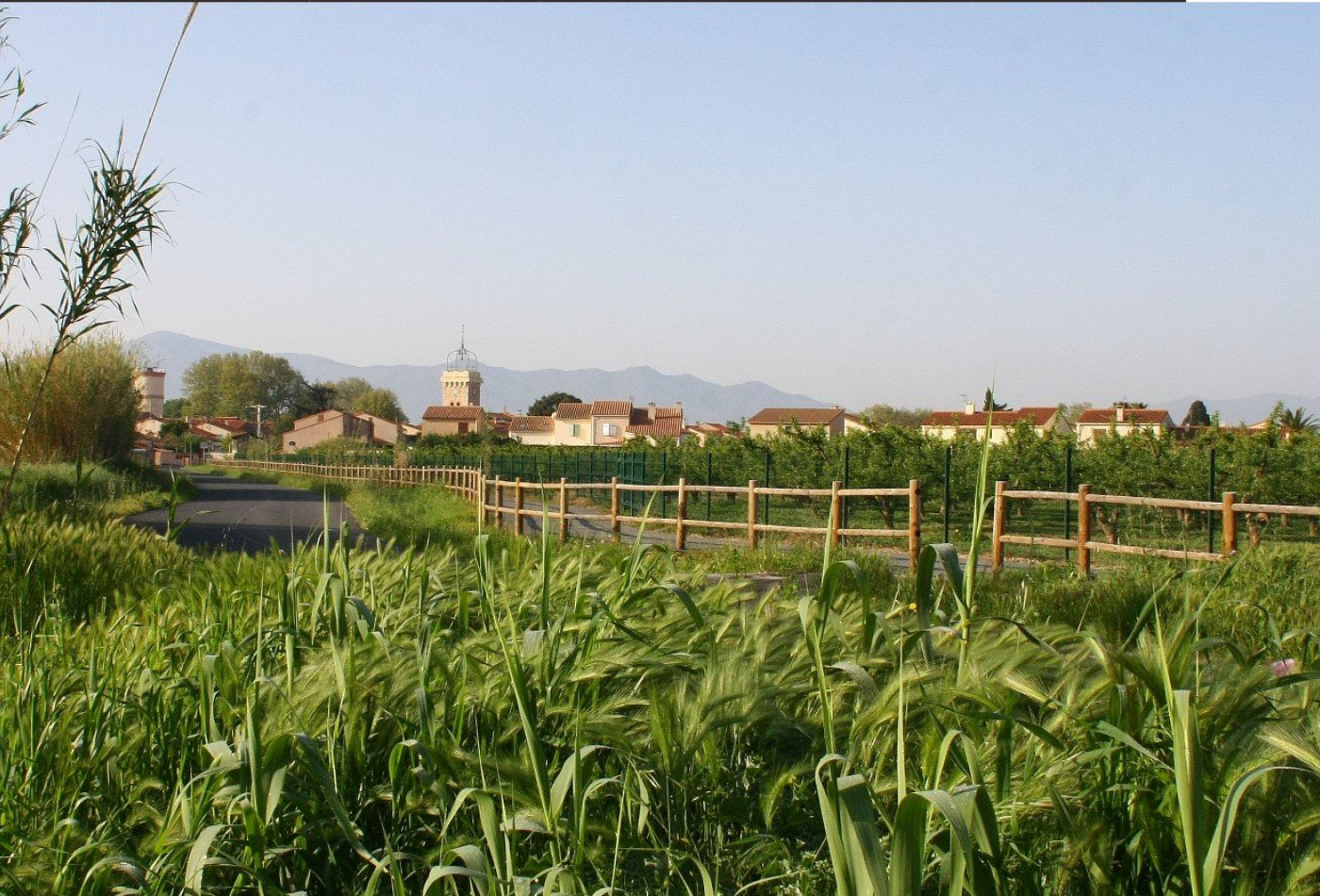 vente Terrain en lotissement Theza - Photo 9