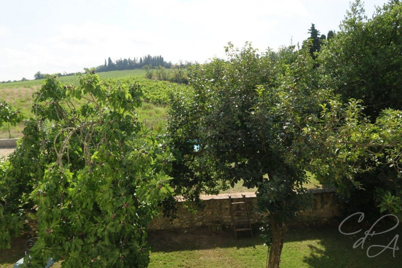 vente Maison de caractère Villemolaque - Photo 6