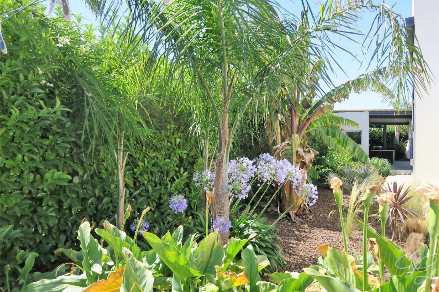 vente Villa Pollestres - Photo 8