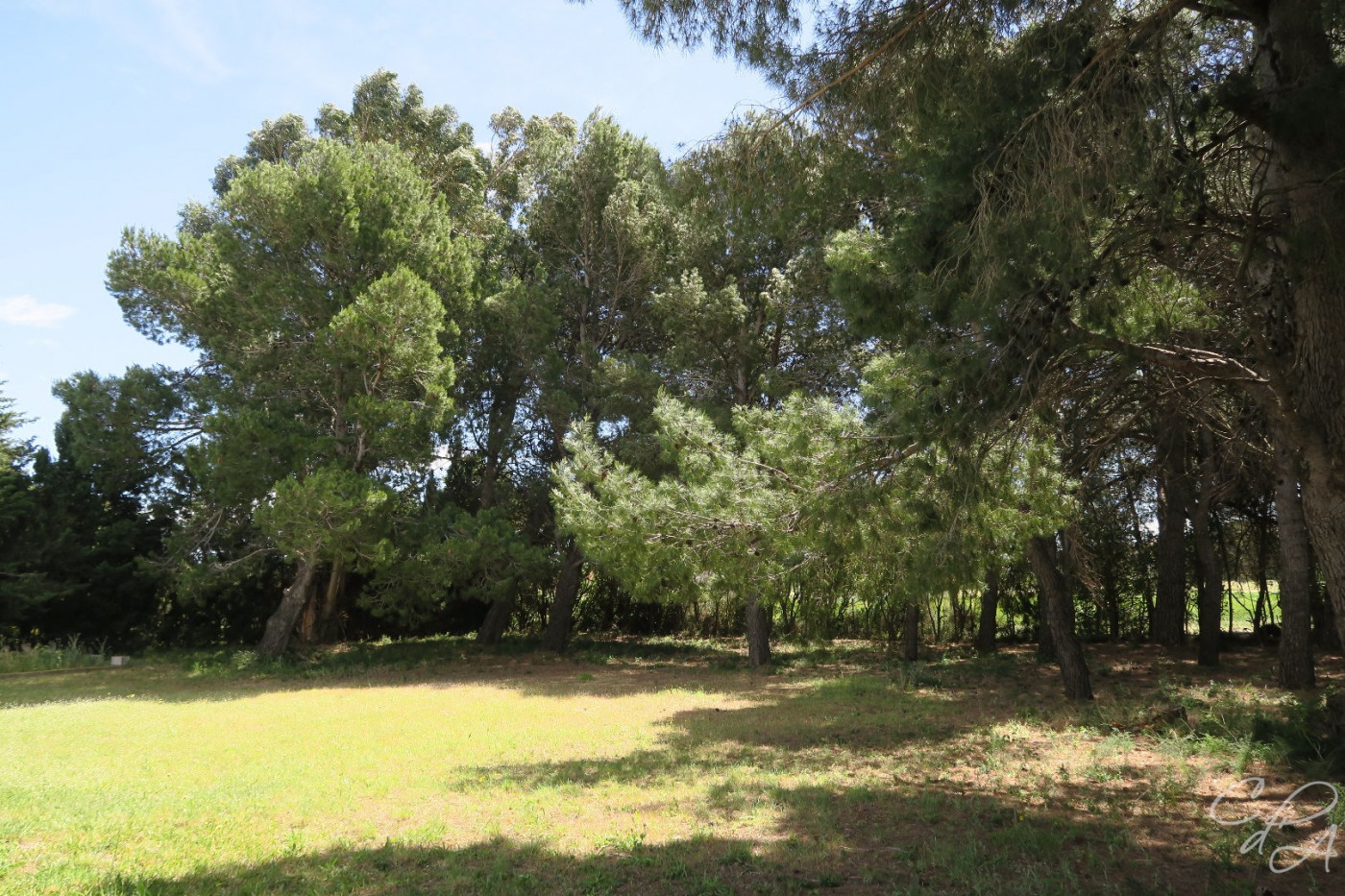 sale Villa d'architecte Cabestany - Photo 10