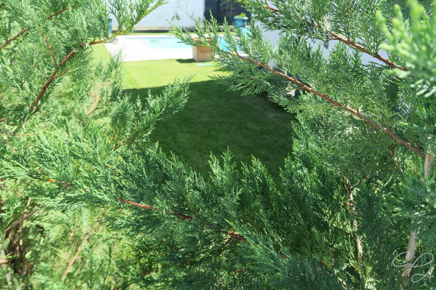 vente Villa Perpignan - Photo 9