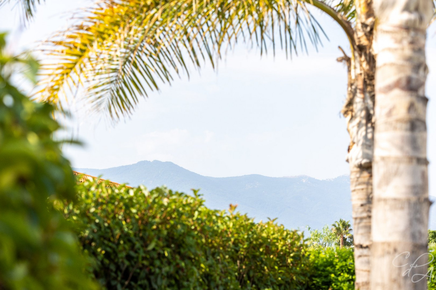 sale Villa d'architecte Palau Del Vidre - Photo 3