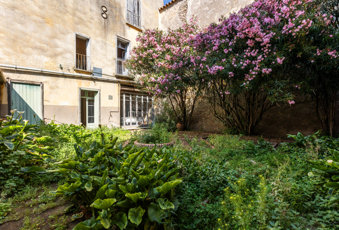 vente Immeuble à découper Llupia - Photo 4