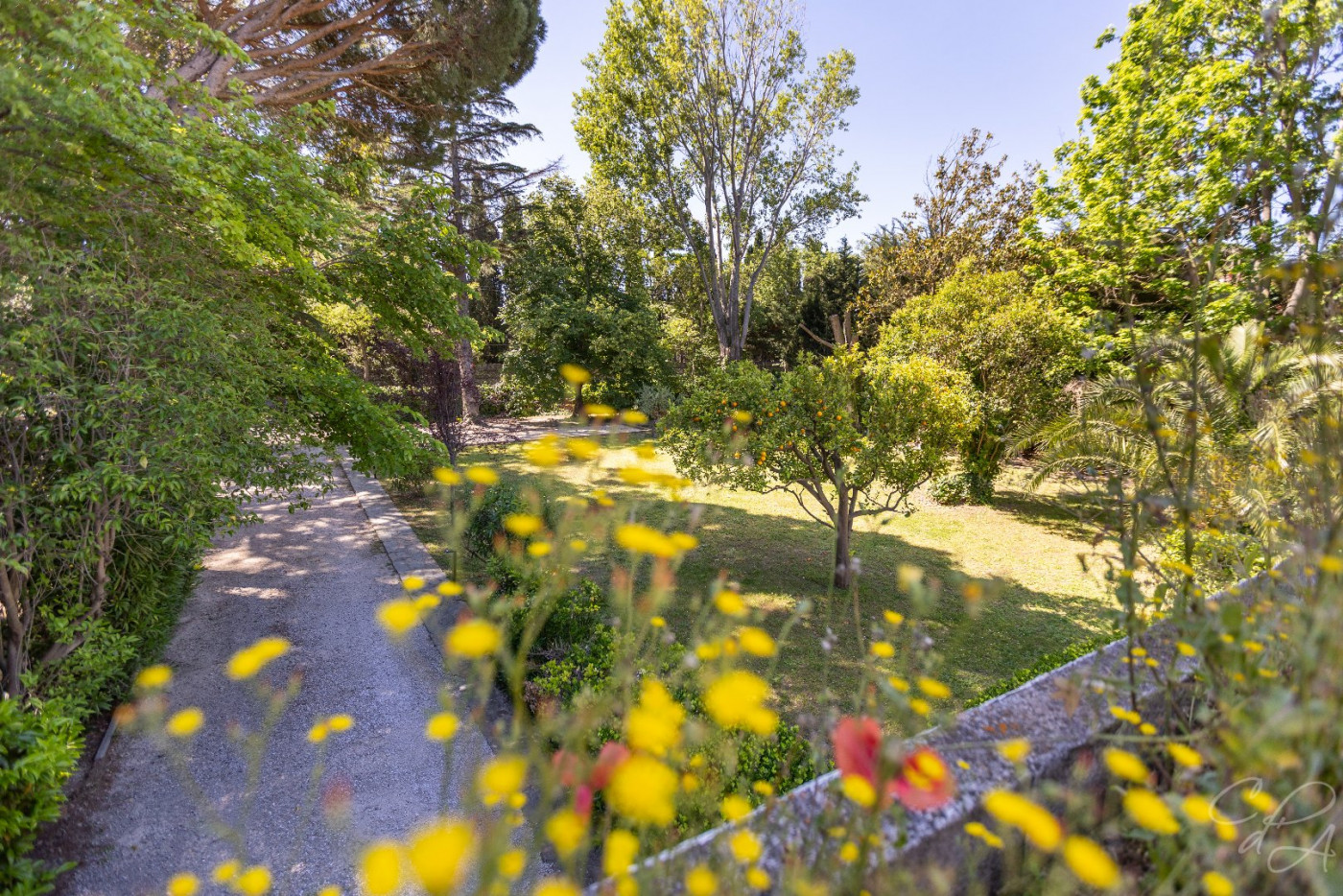 vente Villa d'architecte Perpignan - Photo 7