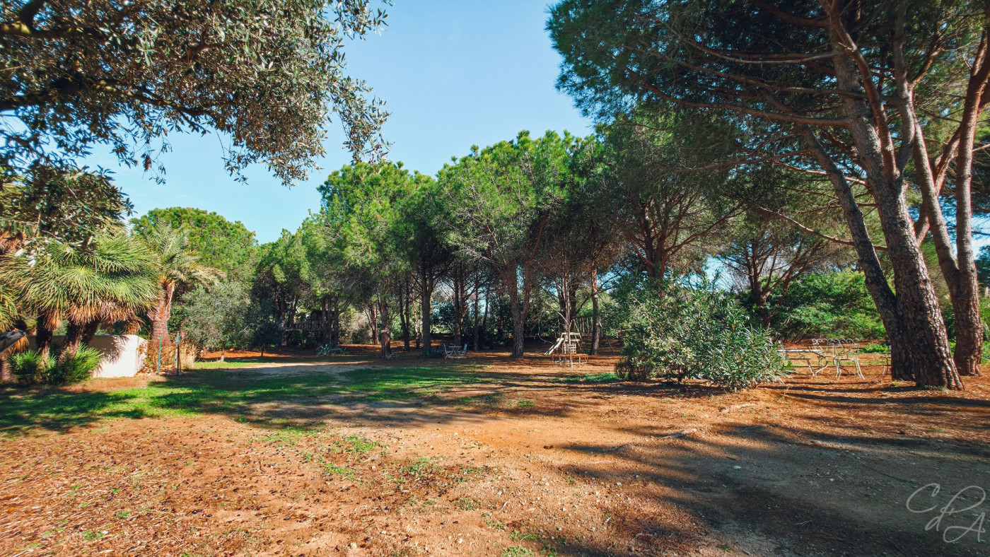 vente Saleilles - Photo 5