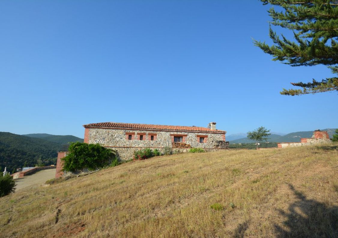 vente Domaine Montauriol