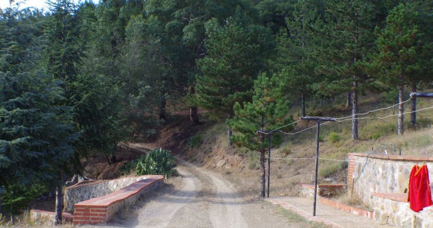 vente Domaine Montauriol