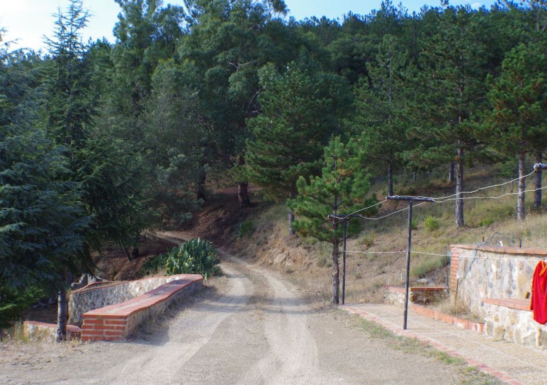 vente Domaine Montauriol