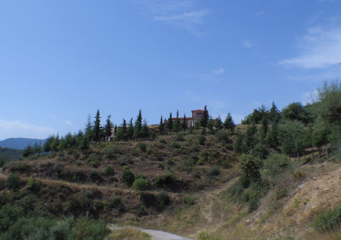 vente Domaine Montauriol