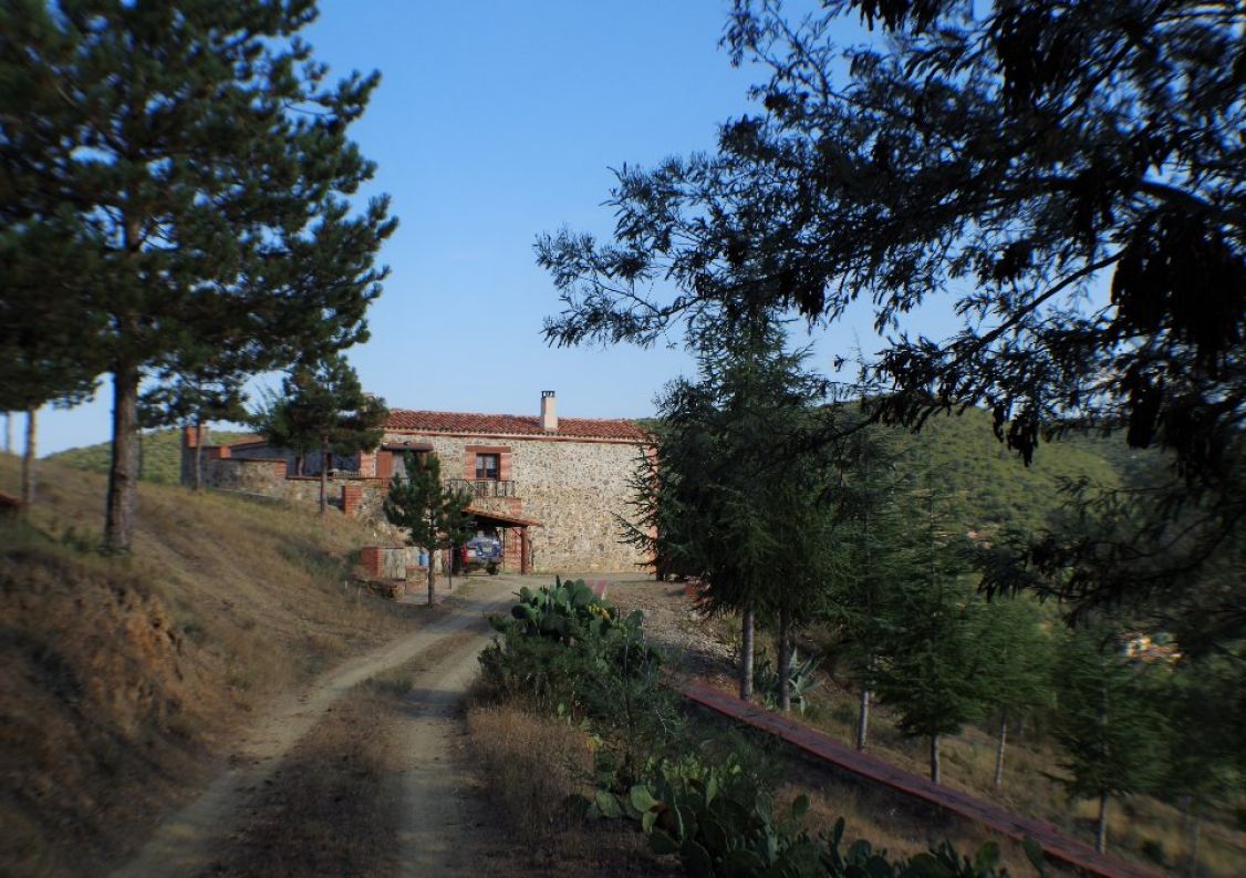 vente Domaine Montauriol