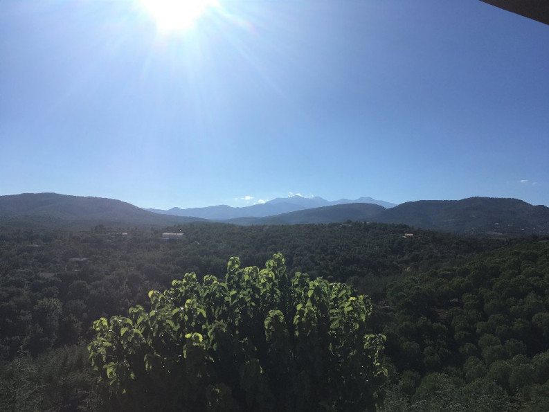 vente Domaine Montauriol - Photo 7