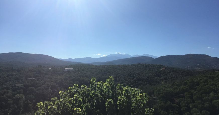 vente Domaine Montauriol