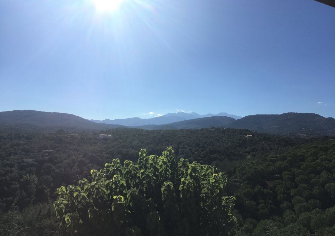 vente Domaine Montauriol