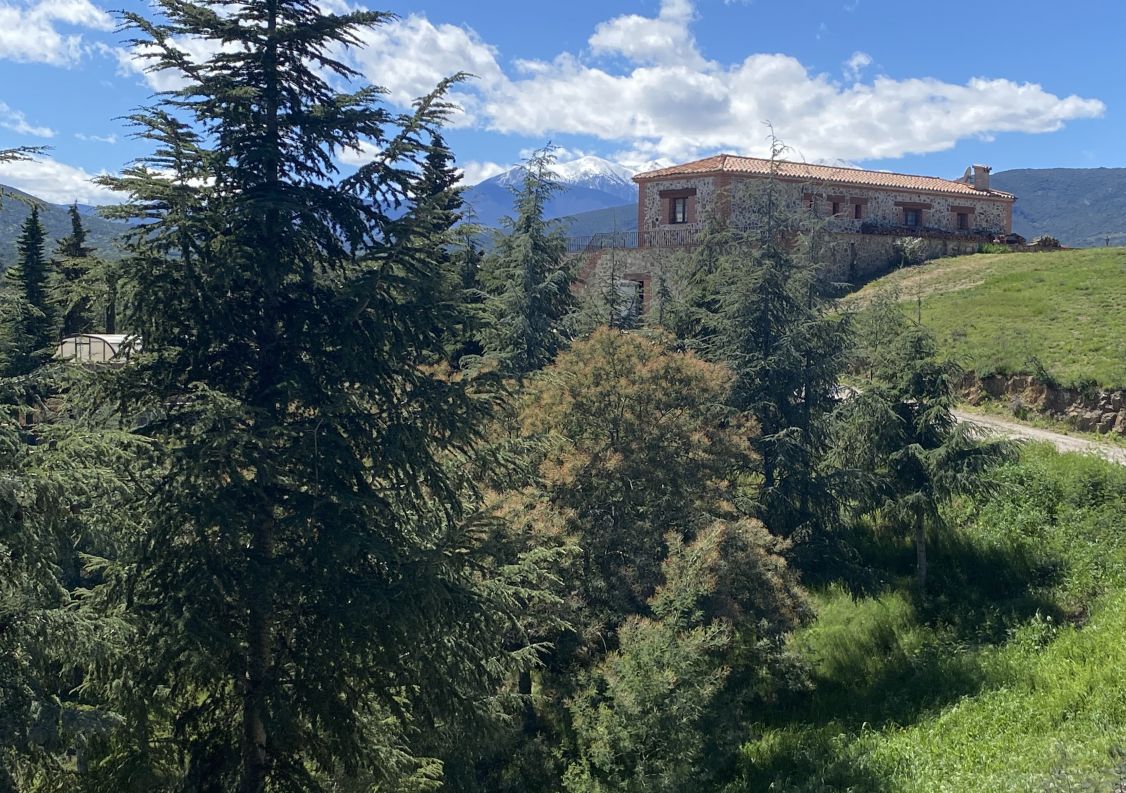 vente Propriété Fourques