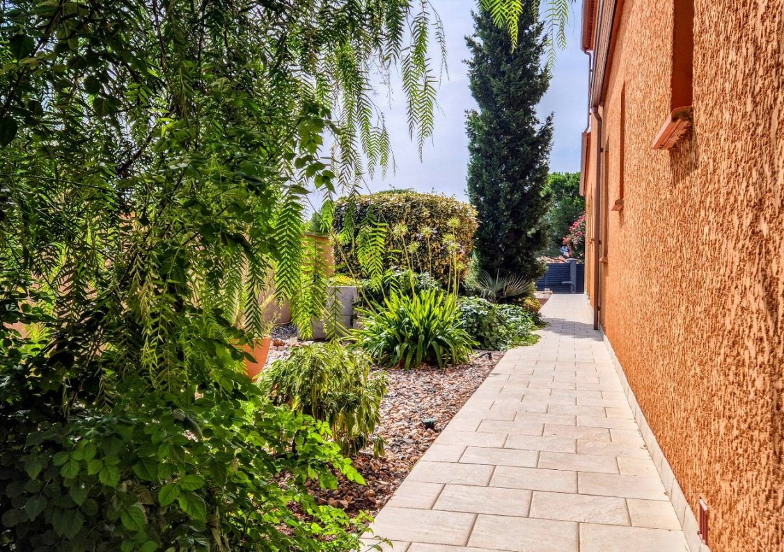 vente Maison Brouilla