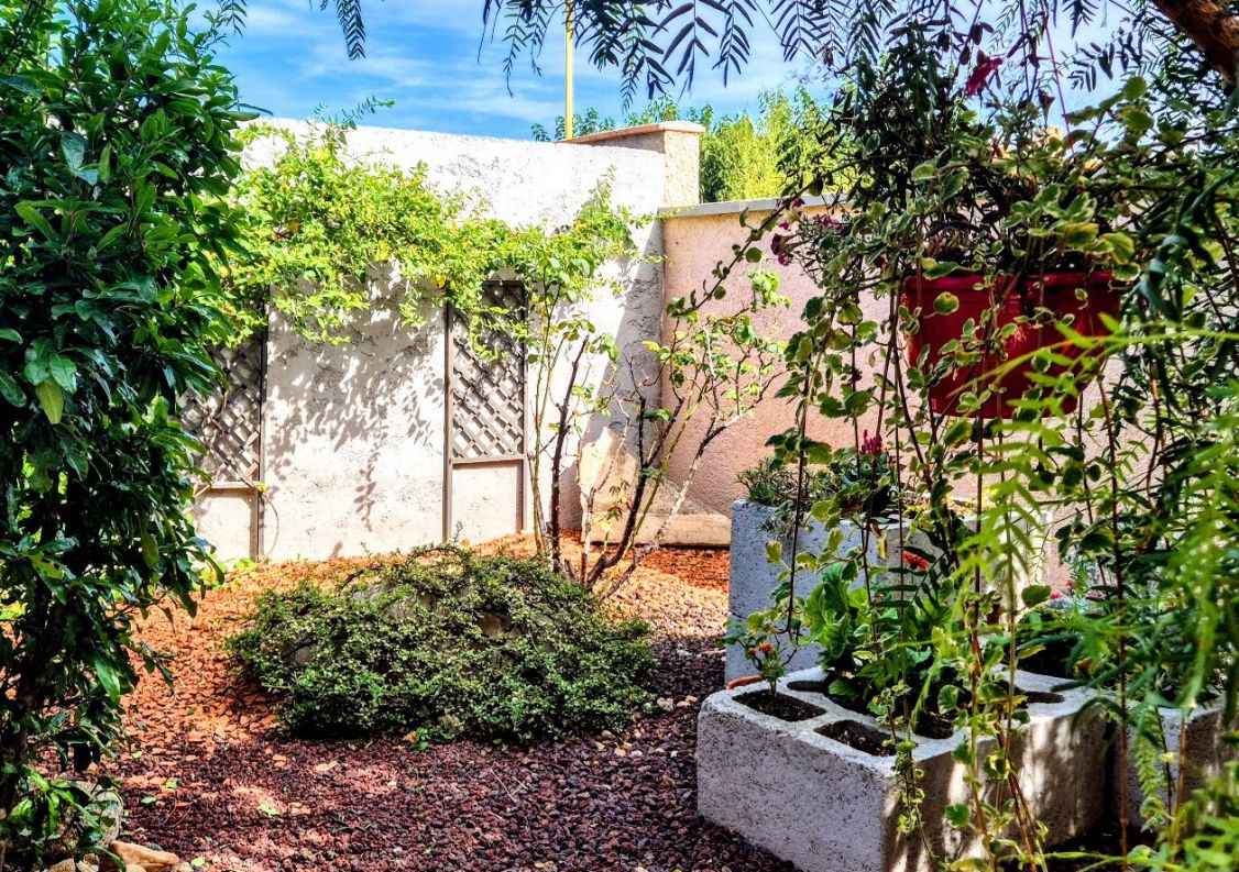 vente Maison Brouilla