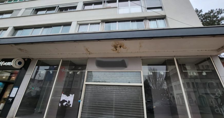 vente Local commercial Saint Louis