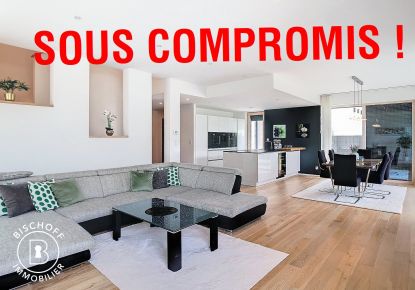 vente Maison Sierentz