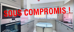 vente Appartement Mulhouse