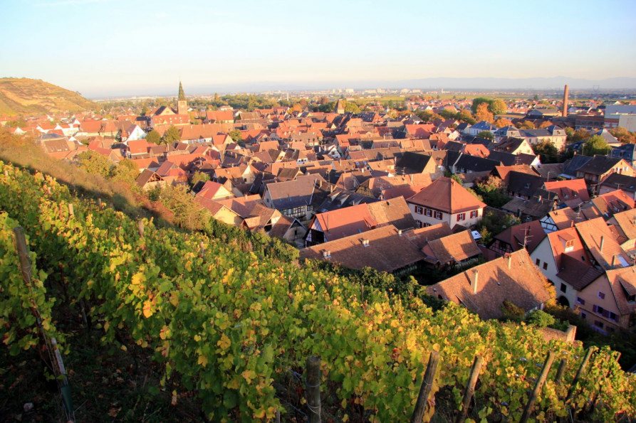 vente Appartement Turckheim - Photo 3