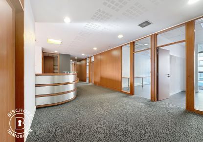 vente Bureau Saint Louis