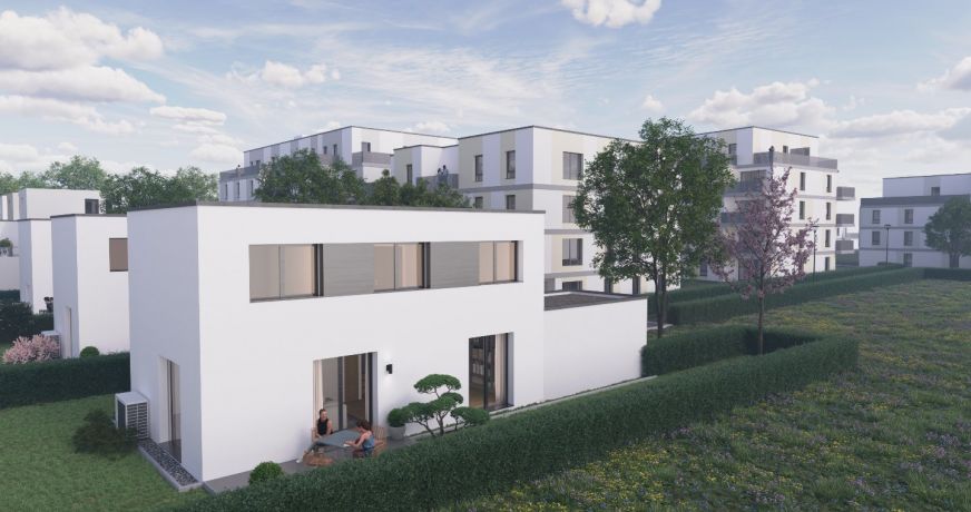 vente Maison Saint Louis