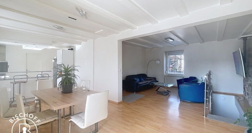 vente Appartement Village Neuf