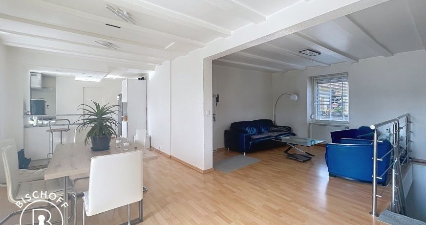 vente Appartement Village Neuf