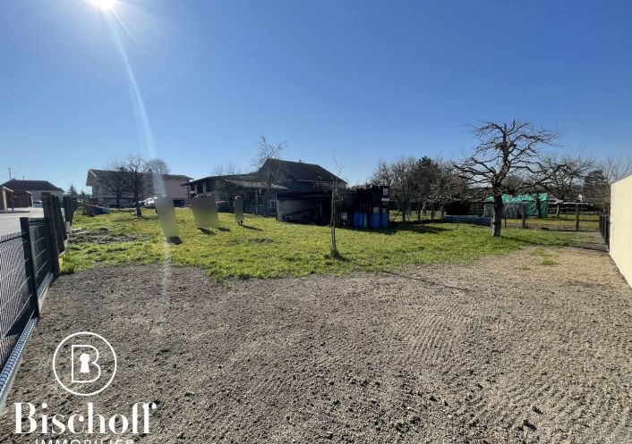 à vendre Terrain Michelbach Le Bas