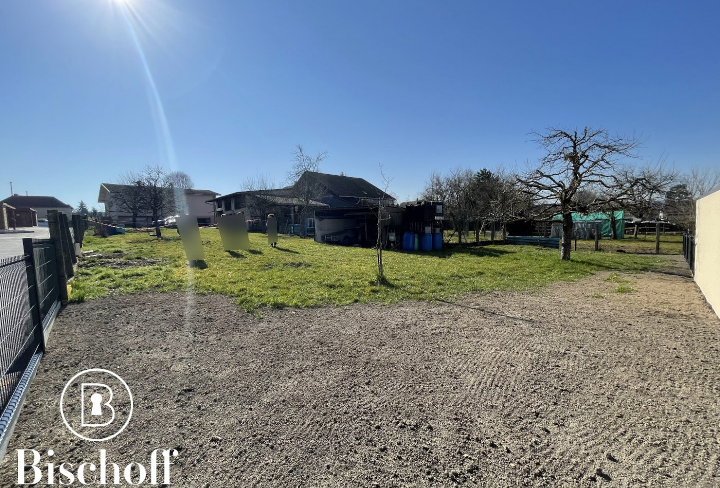 vente Terrain Michelbach Le Bas - Photo 1