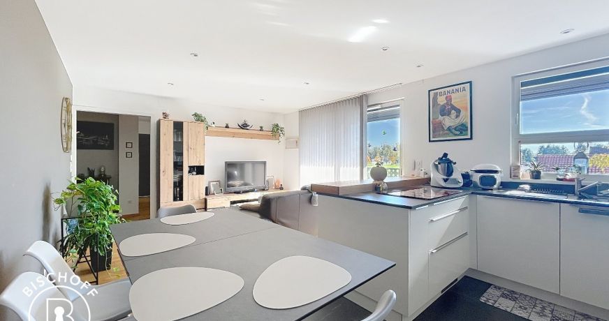 vente Appartement Village Neuf