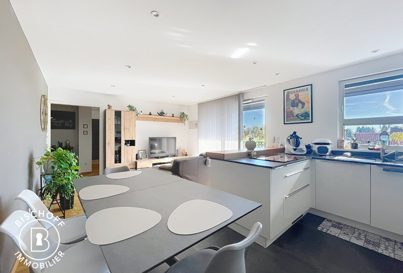 vente Appartement Village Neuf - Photo 2