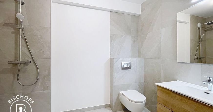 location Appartement Saint Louis