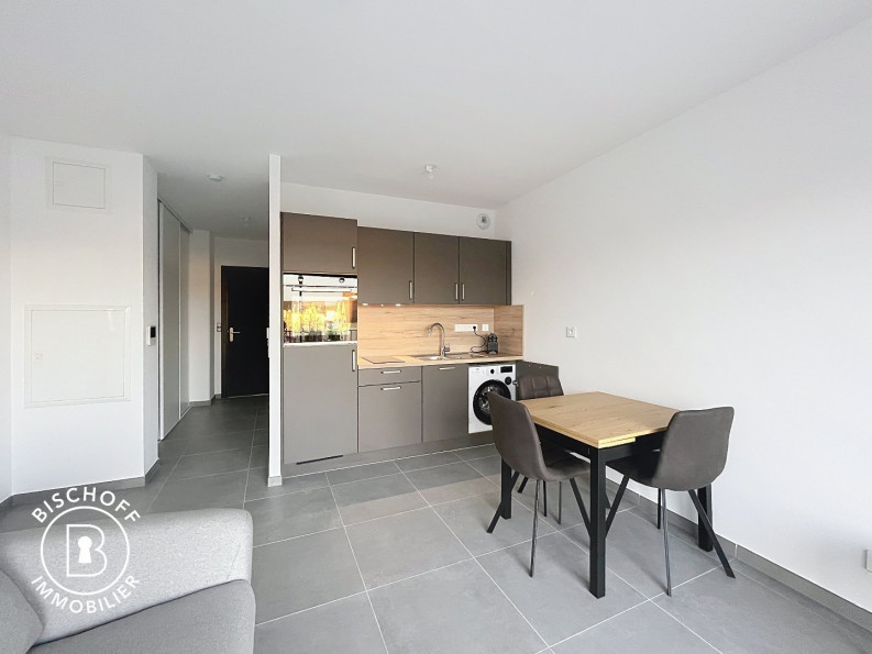 location Appartement Saint Louis - Photo 6