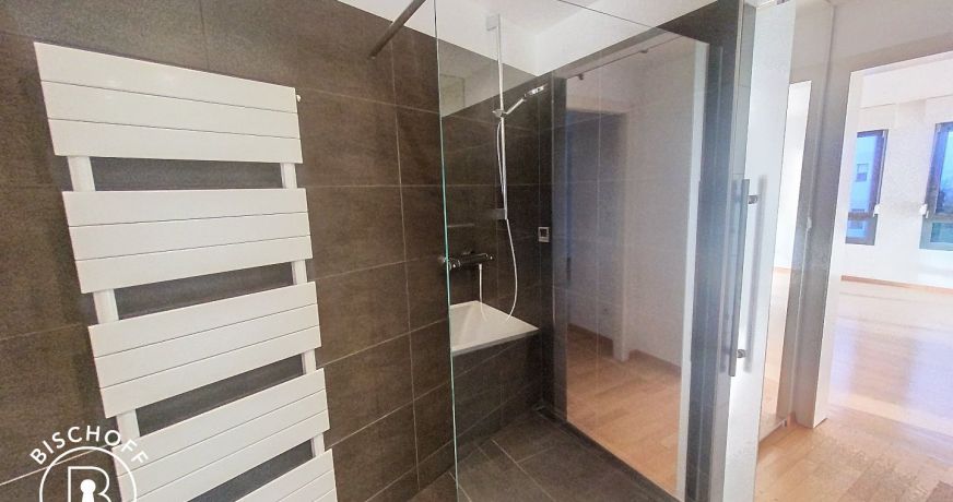 location Appartement Huningue