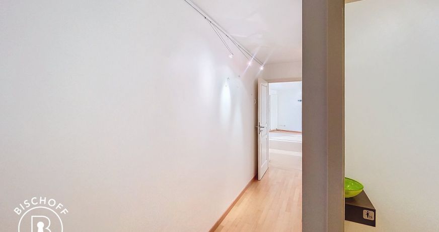 location Appartement Huningue