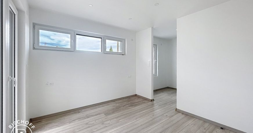 vente Maison Hesingue