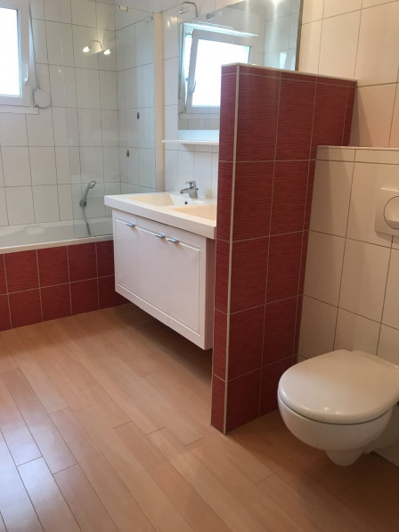 location Appartement Bollwiller