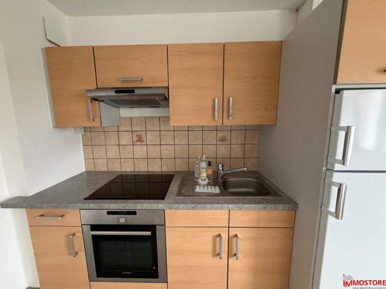 location Appartement Blotzheim - Photo 4