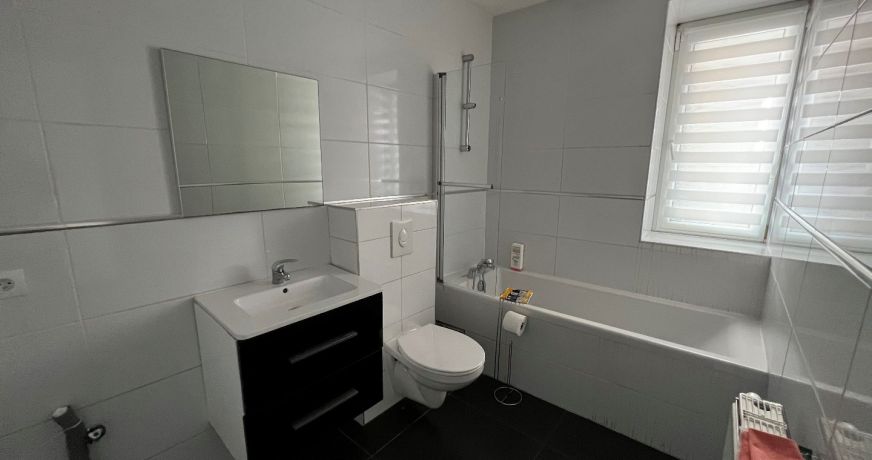 location Maison Mulhouse
