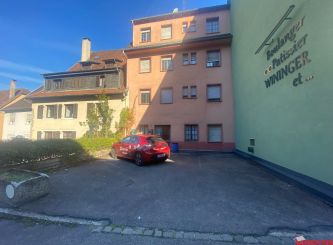 vente Appartement Altkirch