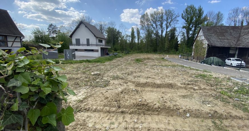 vente Terrain Dietwiller