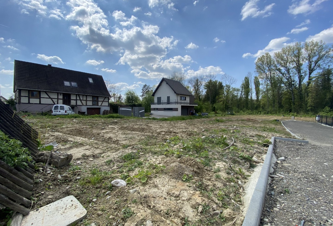 vente Terrain Dietwiller - Photo 5