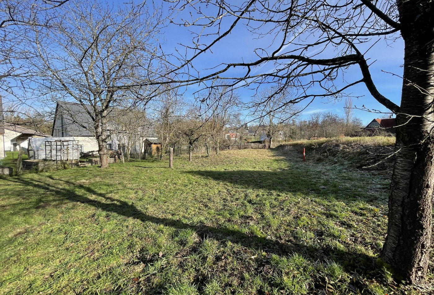 vente Maison Jettingen - Photo 3