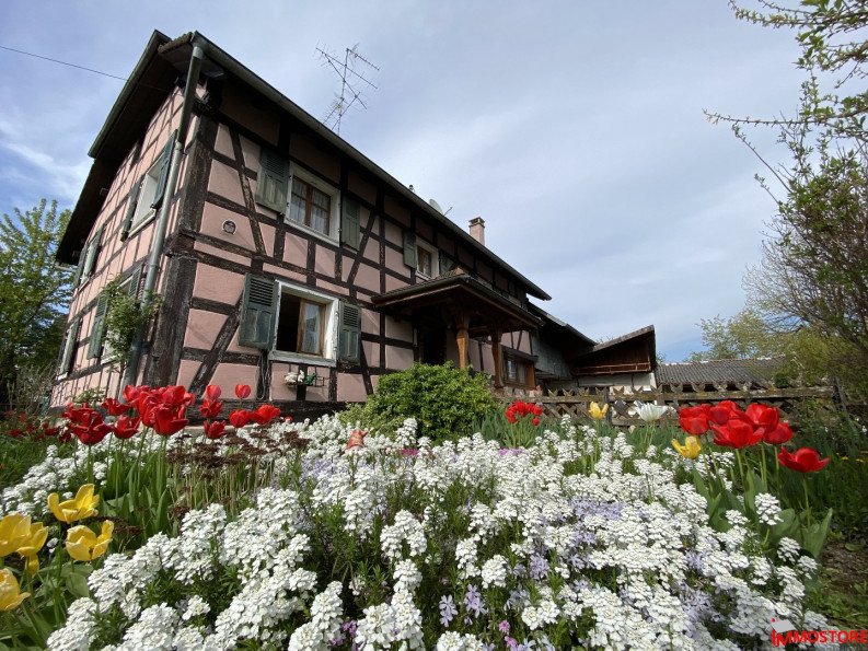 à vendre Maison Jettingen - Photo 2