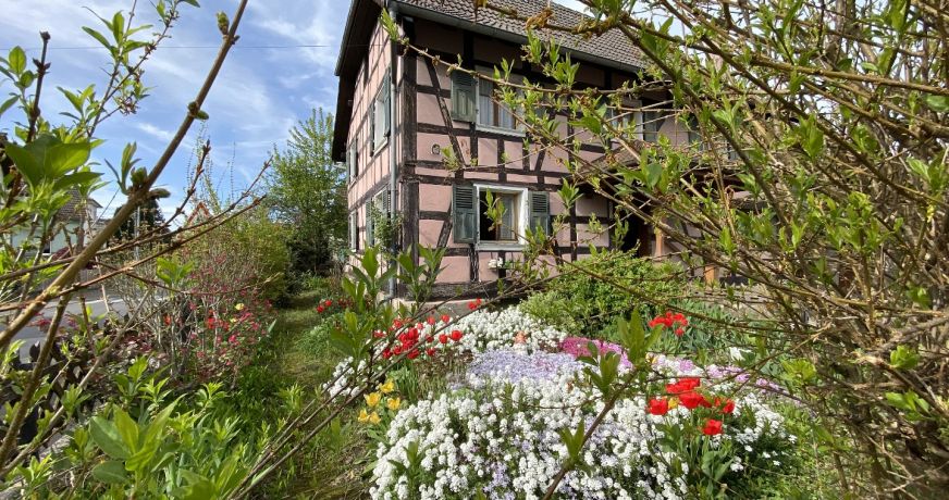 vente Maison Jettingen